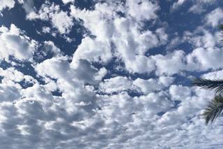 El Cid Marina Beach Hotel - 32