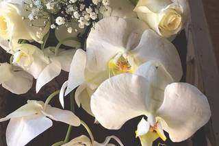 Floryou - 10