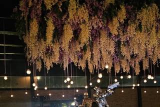 Padisan Eventos - 10