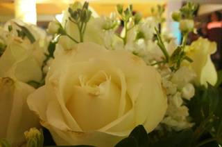María Remedios Floral - 4