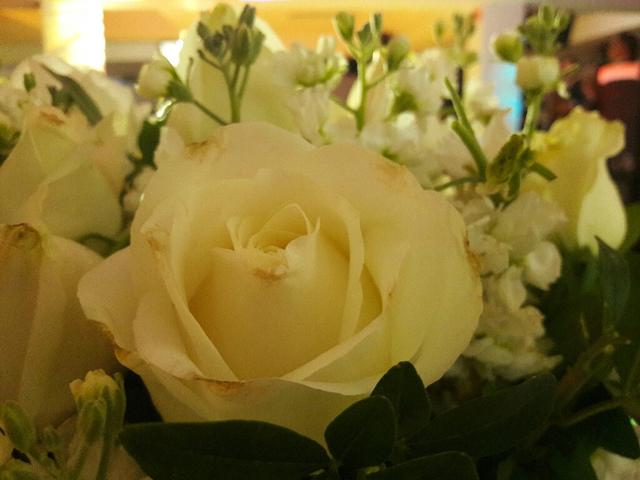 María Remedios Floral - 1