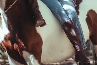 Jose Bulnes Filmmaker - 9