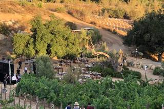 Organieventos By LC - 22