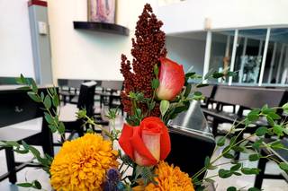 Florería Phalenopsis - 6