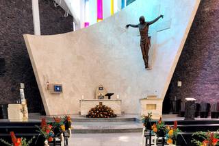 Florería Phalenopsis - 7