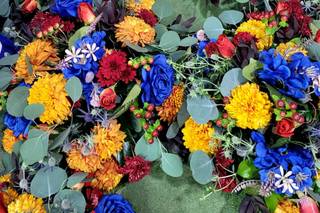 Florería Phalenopsis - 8