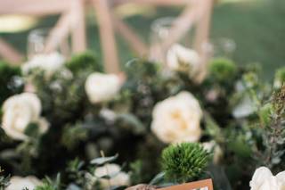 Farfalla Eventos & Wedding Planner - 10