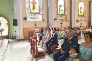 Papillon Making Dreams - 24