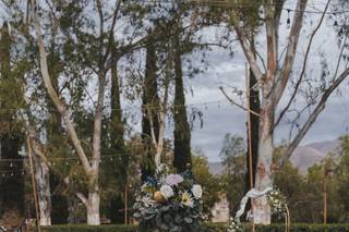 San Cosme Viñedos - 13