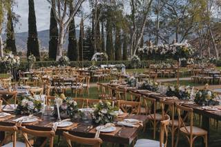 San Cosme Viñedos - 14