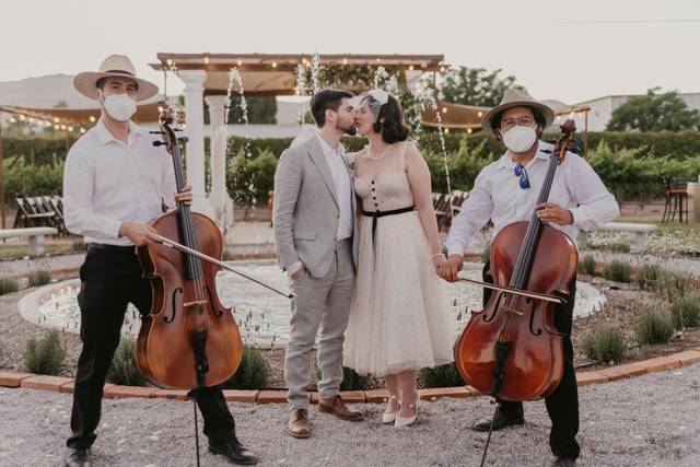 Rojan Dos Cellos 2