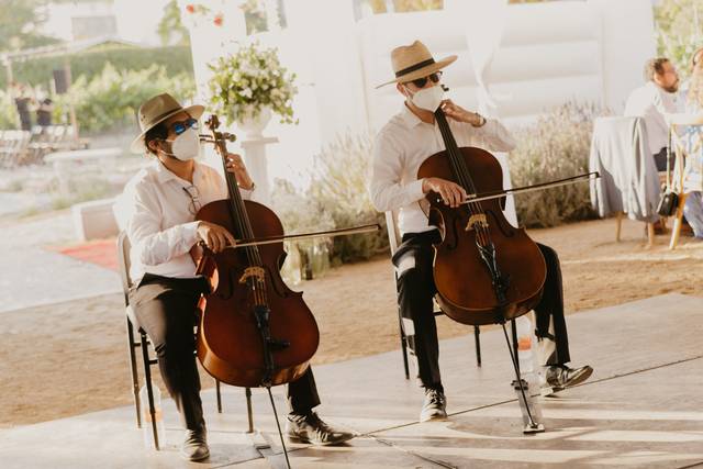 Rojan Dos Cellos 3