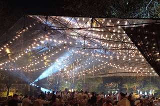 Sofias Event Designer & Wedding Planner - 7