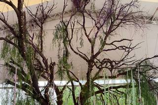 Quinta Lago Texcoco - 24