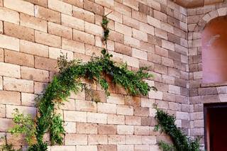 La Casa de Las Flores - 4