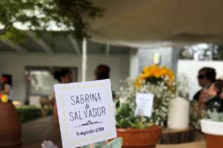 Waonahele Suculentas - 1