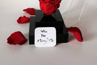 Roses For You - 5
