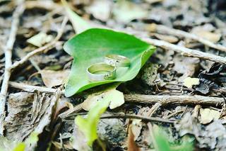 Jaime Castrellón Fotógrafo - 9