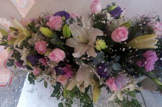 Florería Aurora - 5