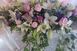 Florería Aurora - 6