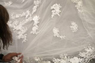 Lafayette Novias - 11