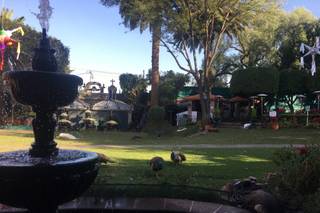 Antigua Hacienda de Tlalpan - 10