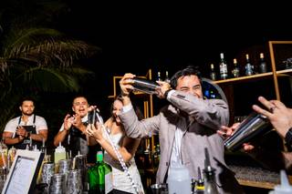 Bartender AV - 10