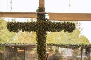 Jardín Cavalia - 12