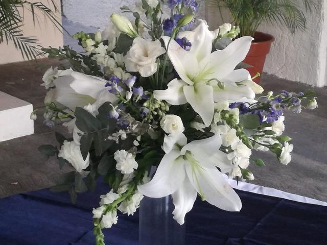 Florale Diseño Floral - 1