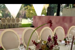 Vini Do Brasil Espadas Brasileñas - 7