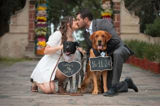 The Luxe Photo Art - 3