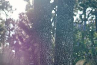 Rodrigo Chávez Fotógrafo - 28