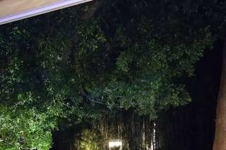 Quinta Santa María - 29