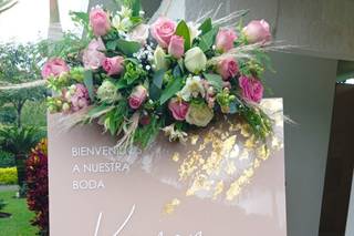 Berenjena Deco - 12