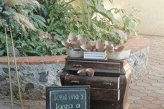 Quinta Santa María - 31