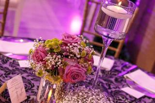 Daniel Escobar Coordinación - 13