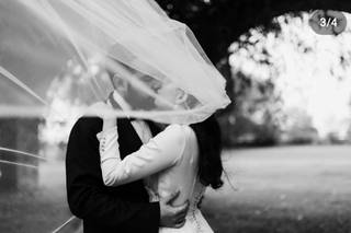 Michelini Photography - 1