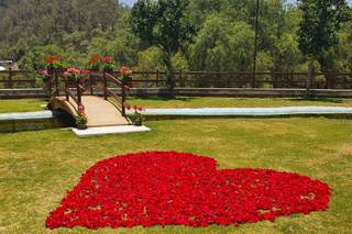 Moezllonz Jardín - 18