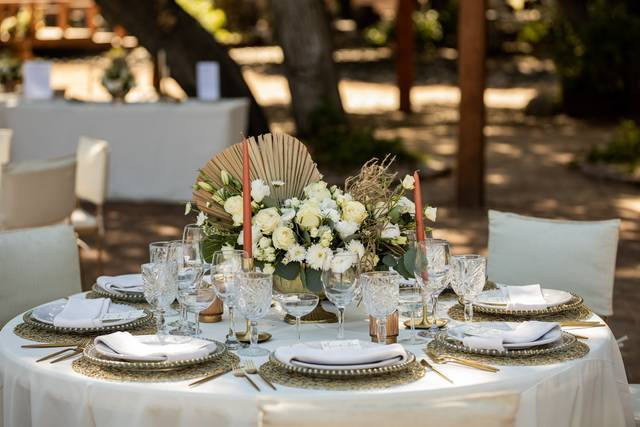 Organieventos By LC 3