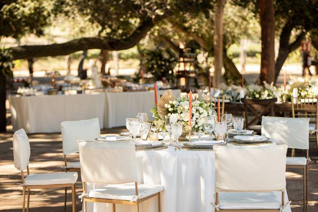 Organieventos By LC 4