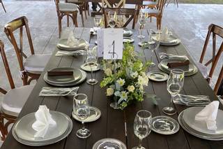 Banquetes del Bosque - 7