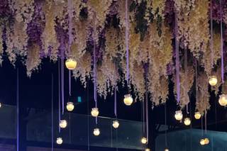 Padisan Eventos - 43