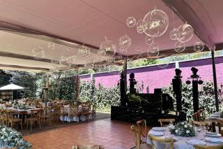 Vinícola del Bosque - 13