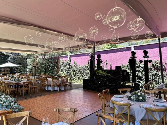 Vinícola del Bosque - 4