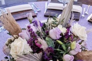 Alexa Matz Events - 8