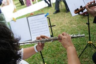 Orquesta Real de Xalapa - 7