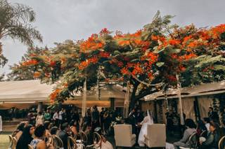 Hacienda Los Jamelgos - 8