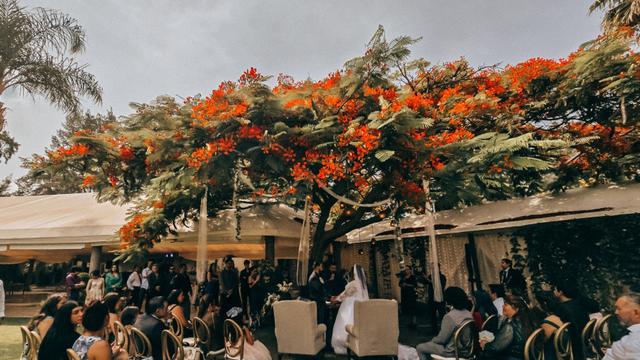 Hacienda Los Jamelgos - 3