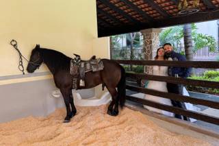 Hacienda Los Jamelgos - 10