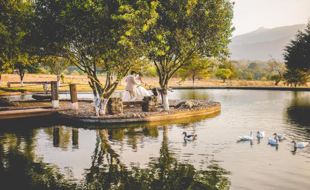 Heber Moran Weddings - 3